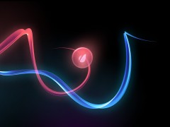 envato_Neon_1600x1200 envato_Neon_1600x1200