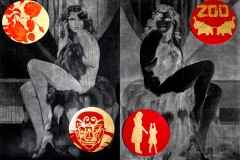 LA VIE EN ROSE LA VIE EN ROSE